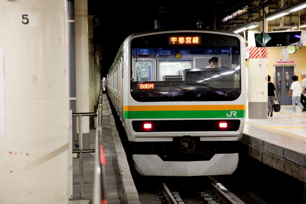 Utsunomiya line in Ueno Station（上野駅） by urapyon