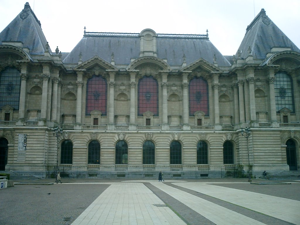 Musée des beaux arts Lille by Vakbieb