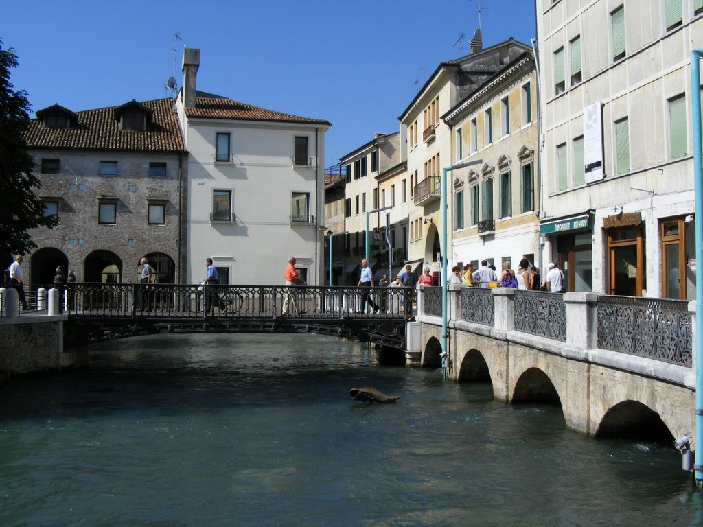 Treviso, Italy by Miro Barbolov