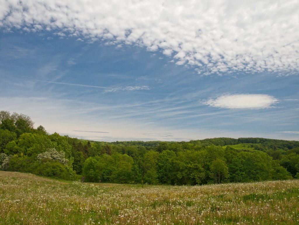 Wald- und Wiesenlandschaft im Hainich by curio77