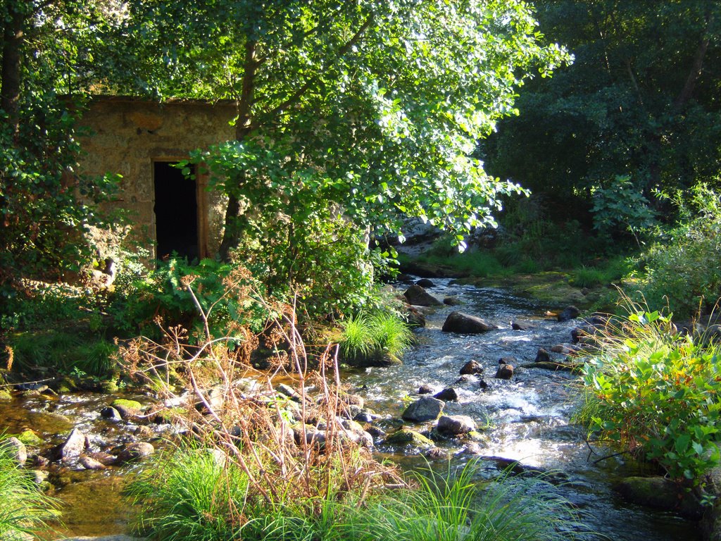 Old water mill -São Pedro do Sul 2 by rucape