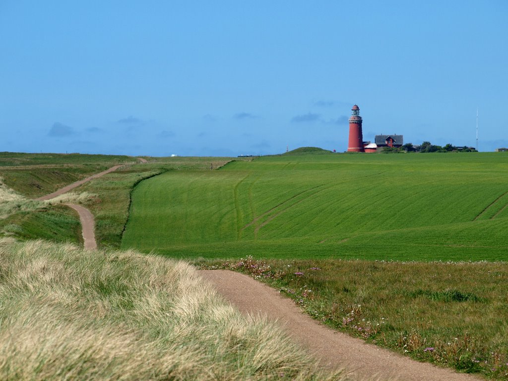 Hiking trail to the Bovbjerg Lighthouse by saxettom