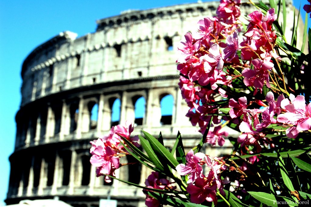 Desenfoque del Colosseo by C Facundo Corol