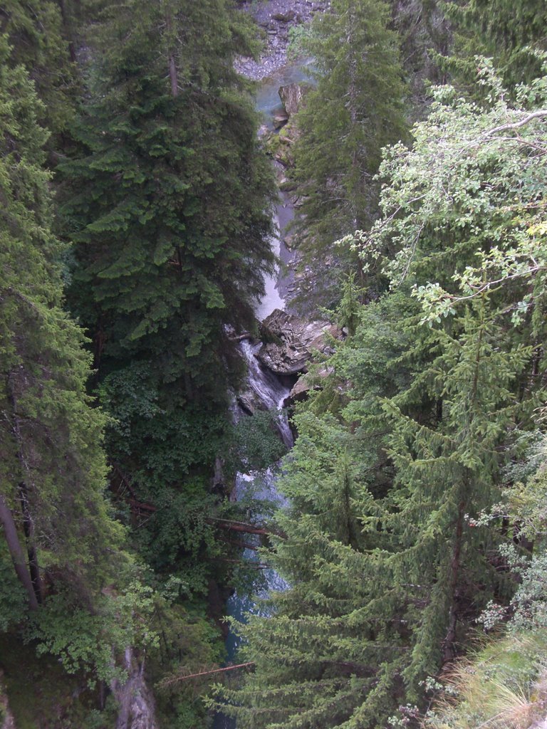 Schinschlucht von der Solisbrücke by Mario Lischke