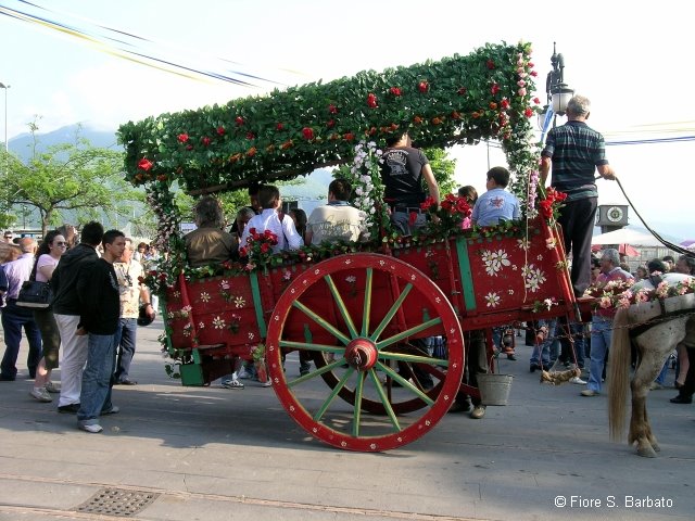 Scafati (SA), Festa della "madonna dei Bagni" 2007. by Fiore S. Barbato