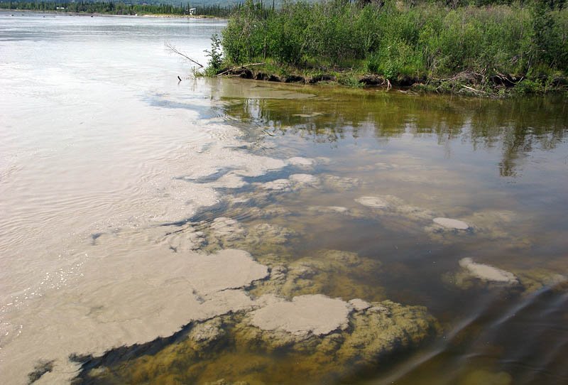 Where the Chena and Tanana Rivers Meet by dandod