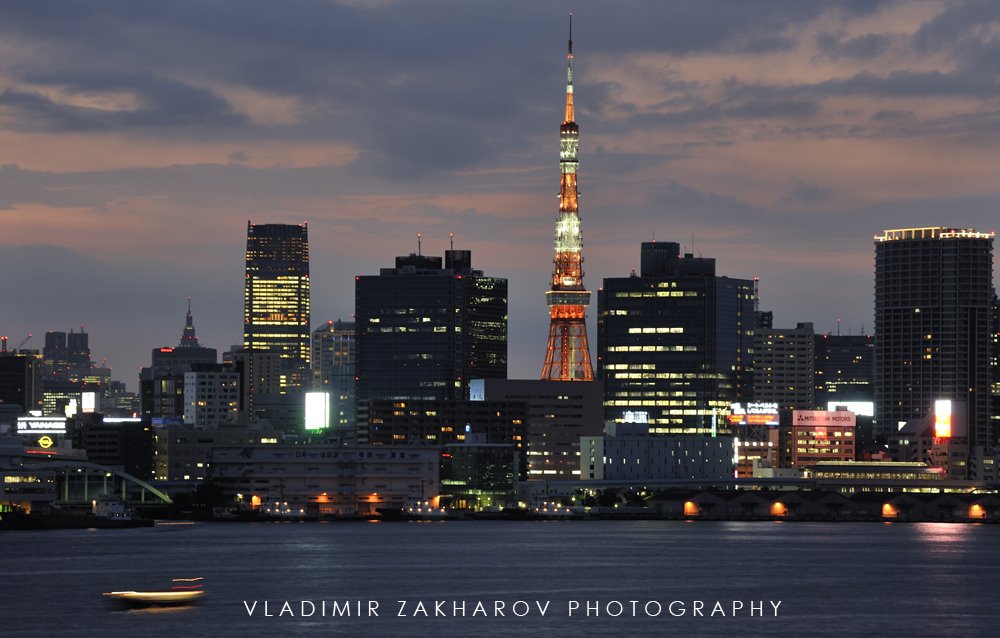 Tokyo view from Rainbow bridge by Vladimir Zakharov