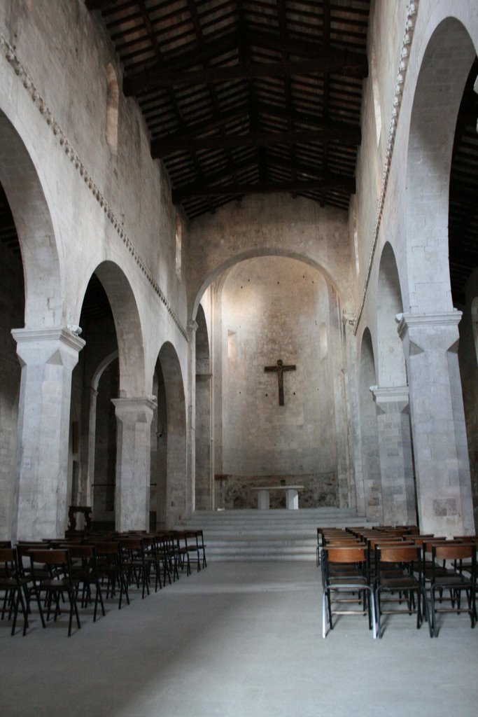 Interno di S. Maria della Piazza by alekf