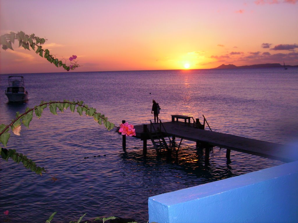 Baby Dock at Sunset by jbsluvsscuba