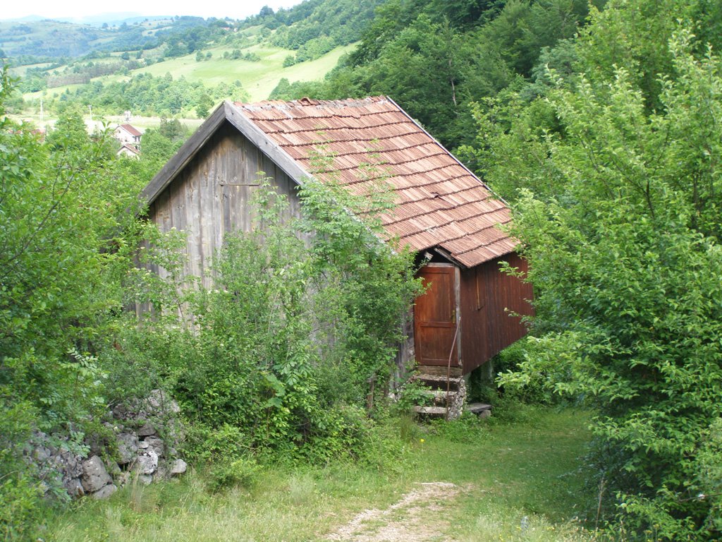 Old House by Željko Aščić