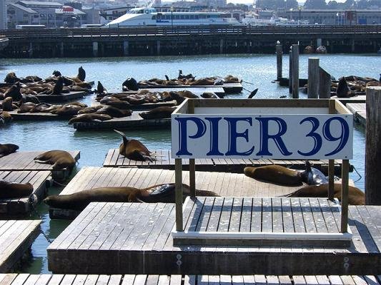 Pier 39 by Patrique Malaise