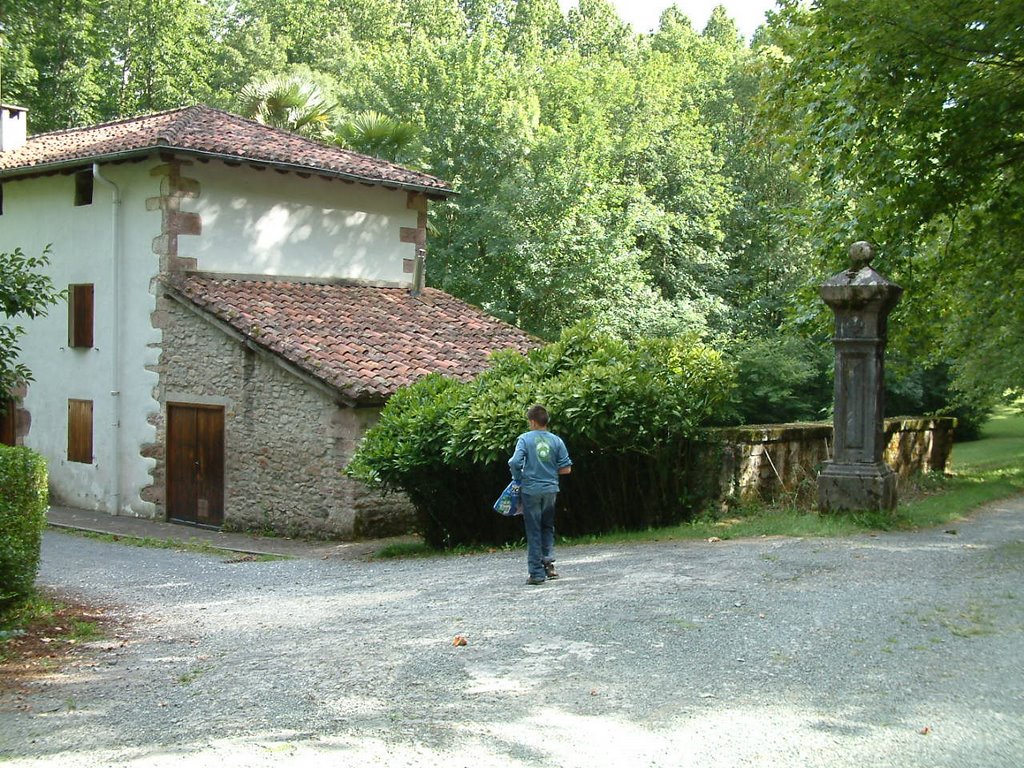 Bertizko jaurerria (Senyoriu de Bertiz) 12 by Joaquim Naval