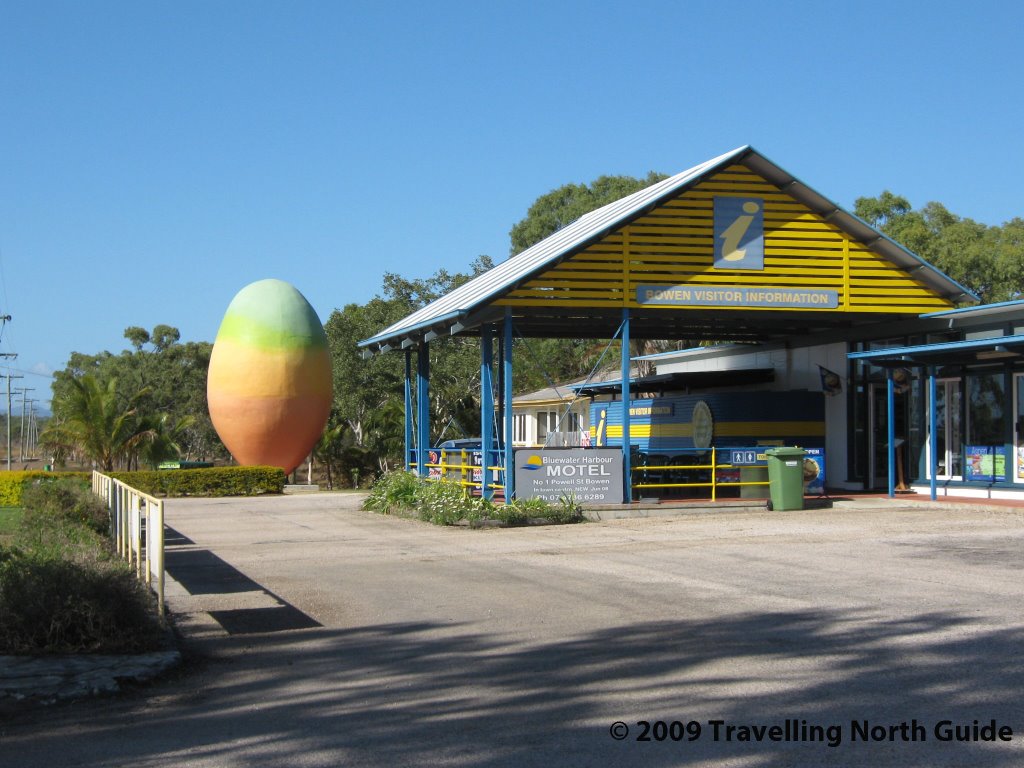 Big Mango Bowen by Travelling North Gui…