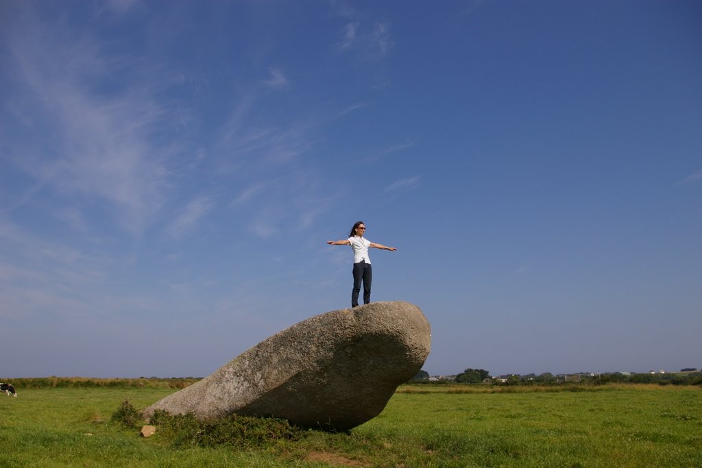 Menhir de Kergadiou - Bretagne - France by Gina P.