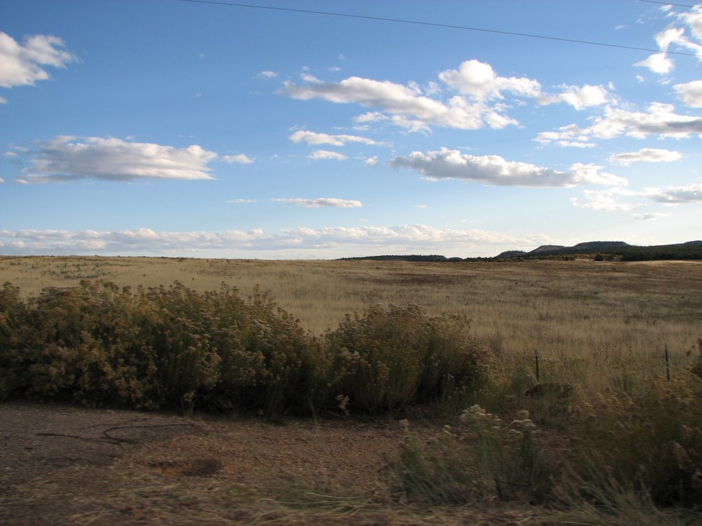 View S from North Fork County Road by Nicholas Bell