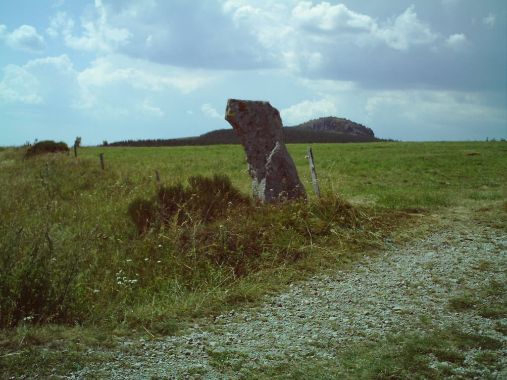 Menhir at les estables by david ollagnon