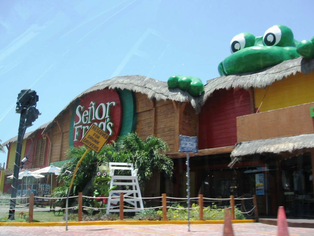 SEÑOR FROG by GILDA ARROYO