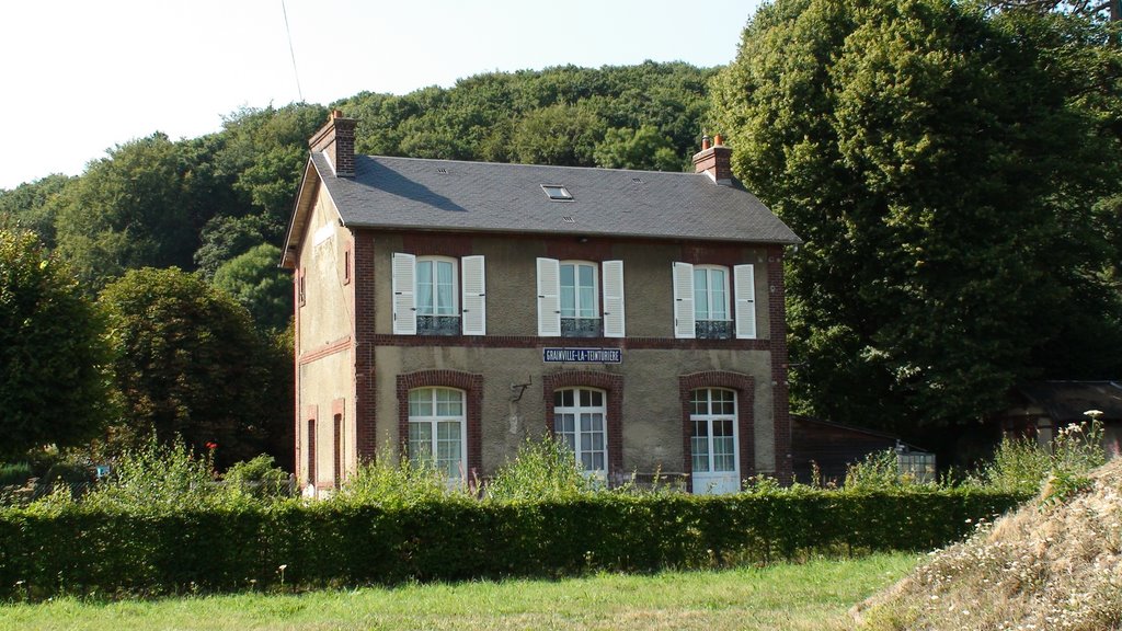 France: Grainville la Teinturiere - La gare désafectée by chatons76