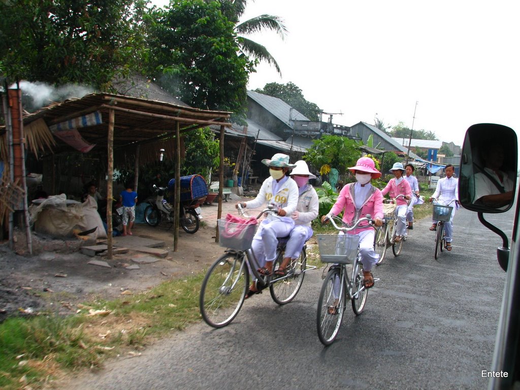 Trên đường Châu Đốc đi Hà Tiên by Tu Nguyen