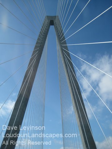 Charleston, SC by Dave Levinson