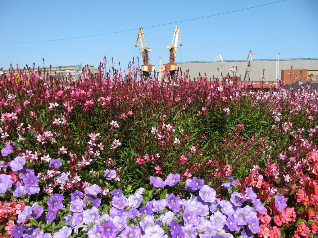 Ventspils, Latvija by Indra Dišteina