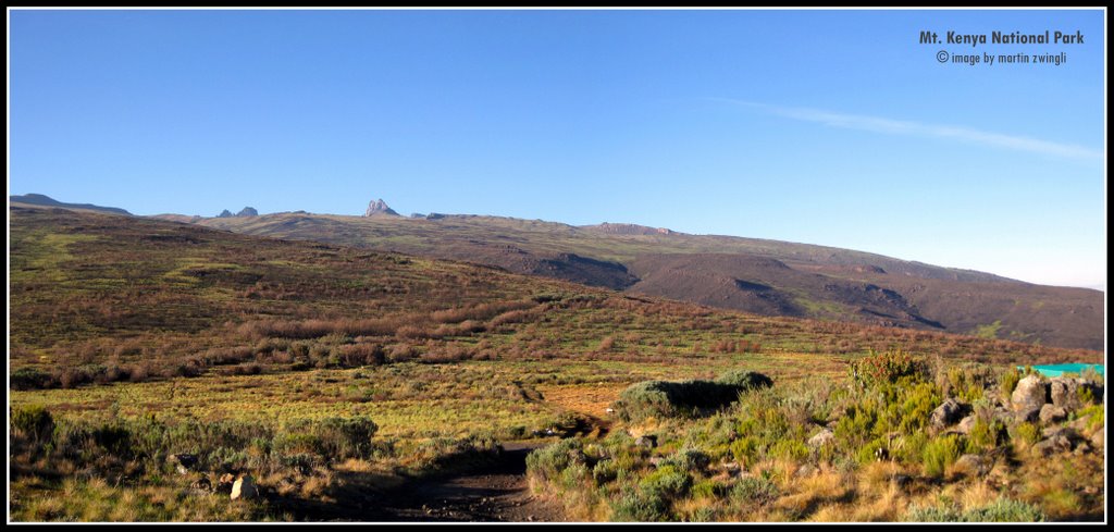 Mt. Kenya National Park by Martin Zwingli