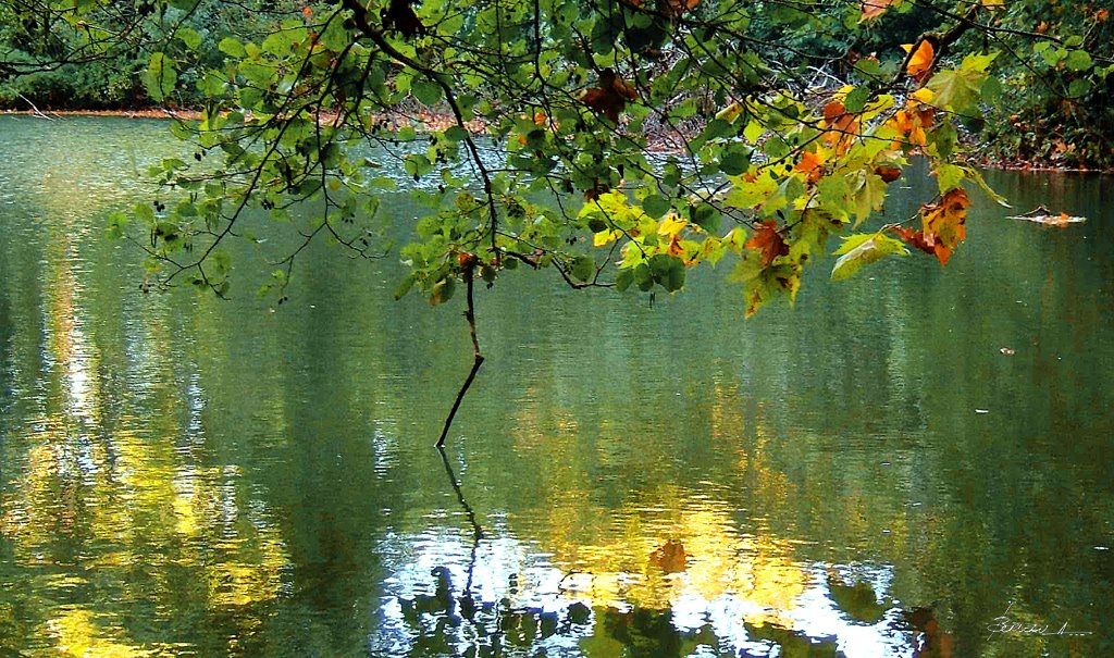 TRESQUES...GARD...FRANCE. by BORDEAU Alain.(NO VIEWS!)