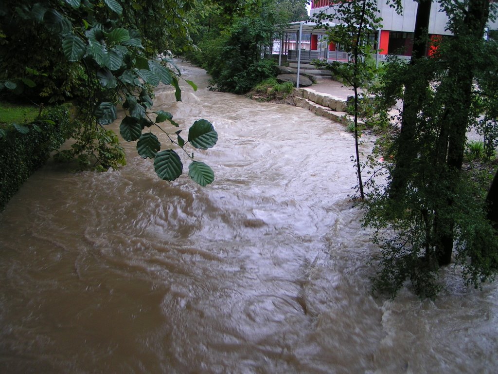 Bottmingen, Switzerland by wokingham