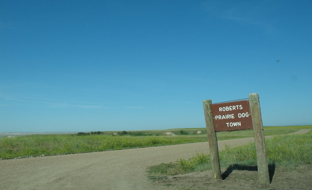 Roberts Prairie Dog Town by sacoo