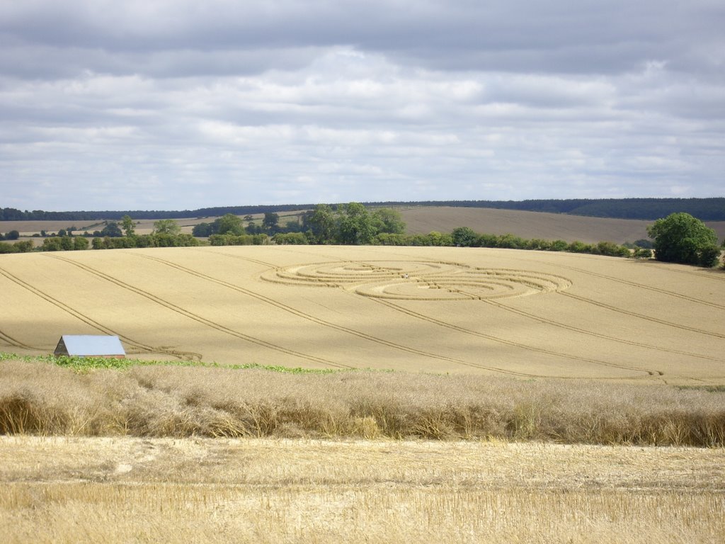 Crop Circle by paulswindell