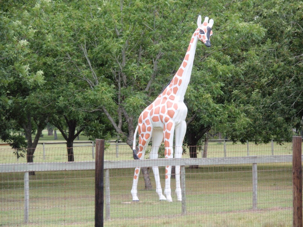 Giraffe sculpture N side of Highway 2 by zapruder