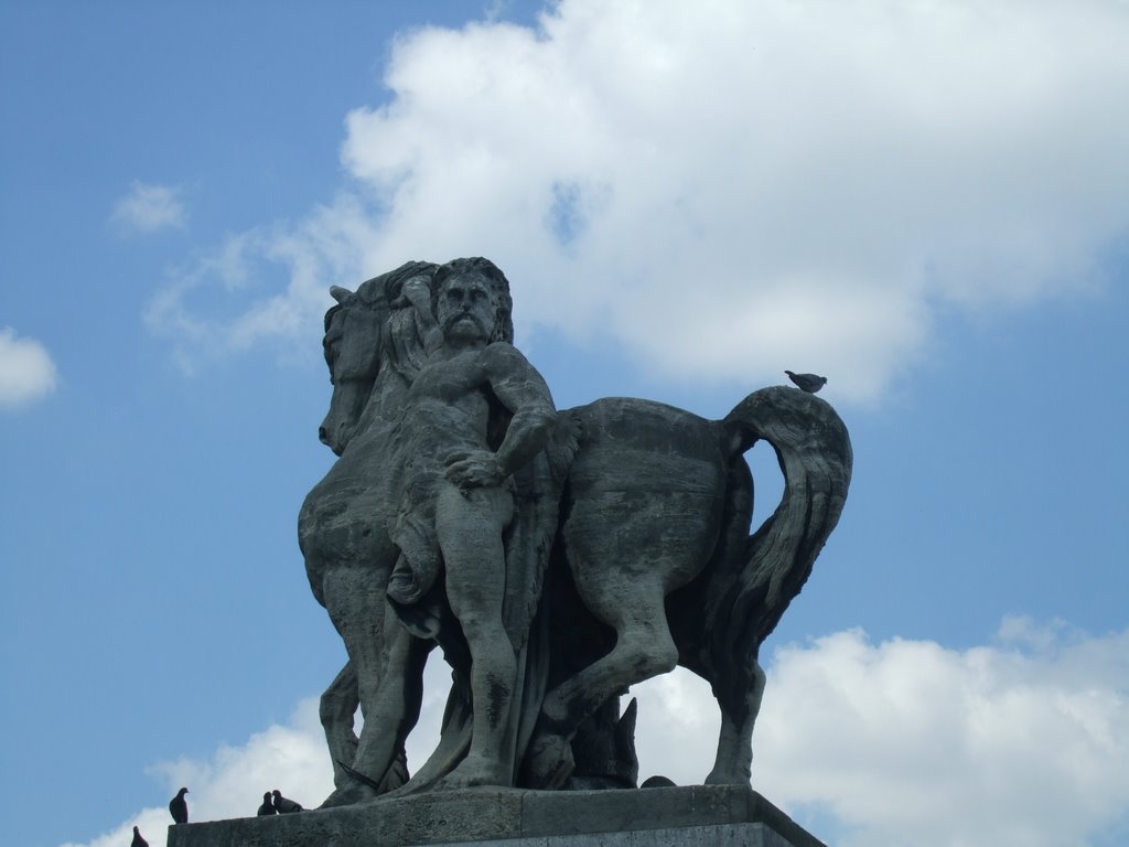 Figura desde el Río Sena con palomas by TereLl