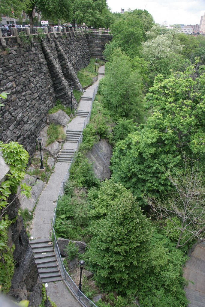 Morningside Park by Emanuele Blicchi