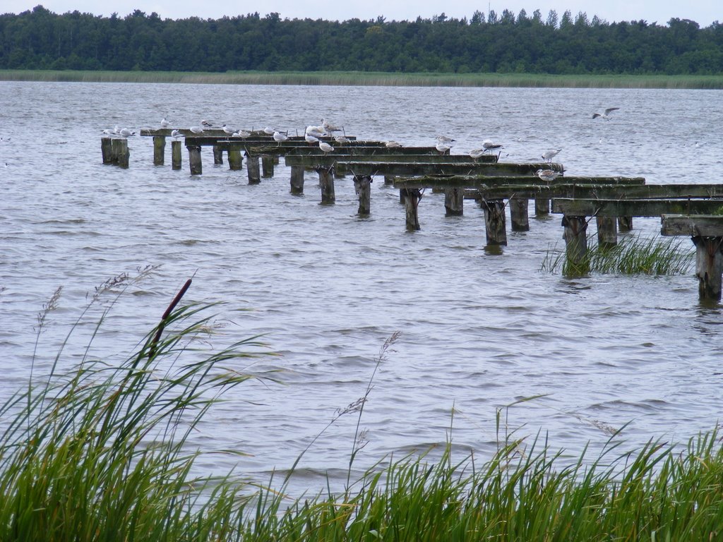 Jezioro Sarbsko bei Nowecin by tigriszka