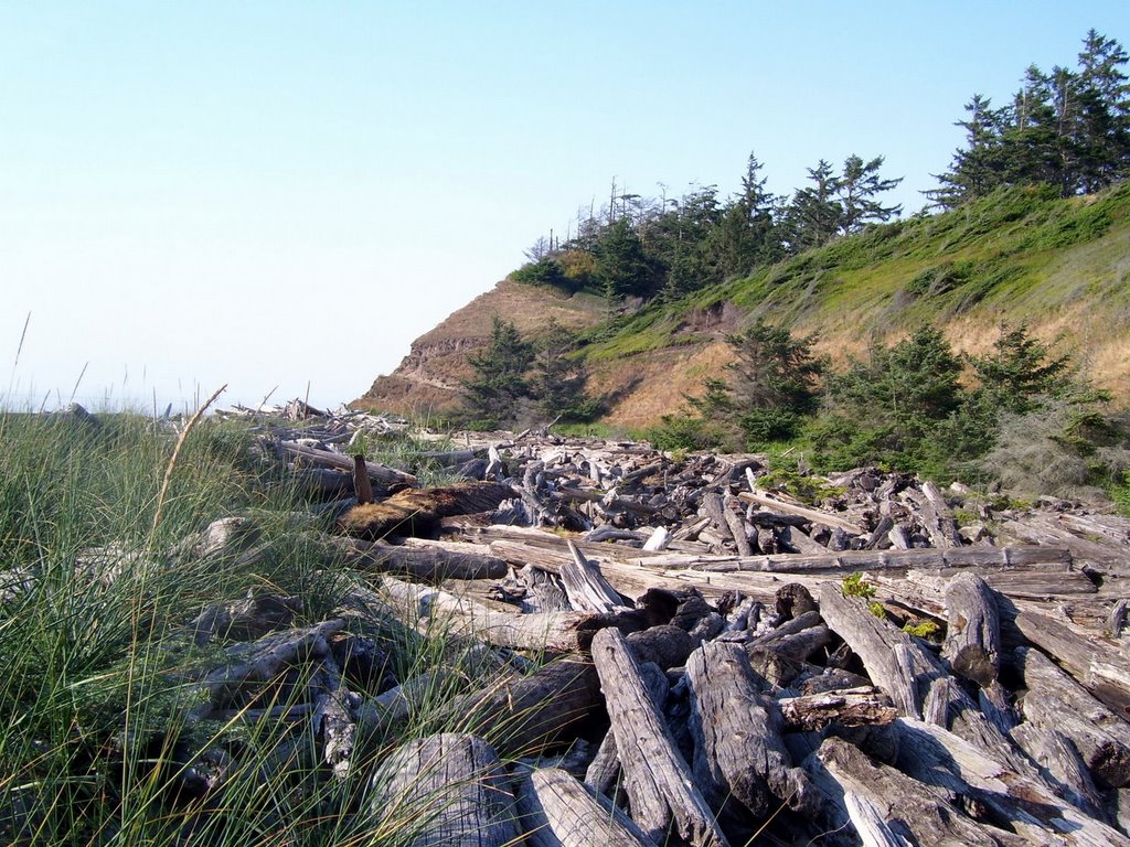 Fort Ebey State Park, Whidbey Island, WA by Midnight Rider