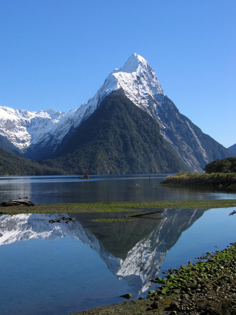 Milford Sound by Rude Mood