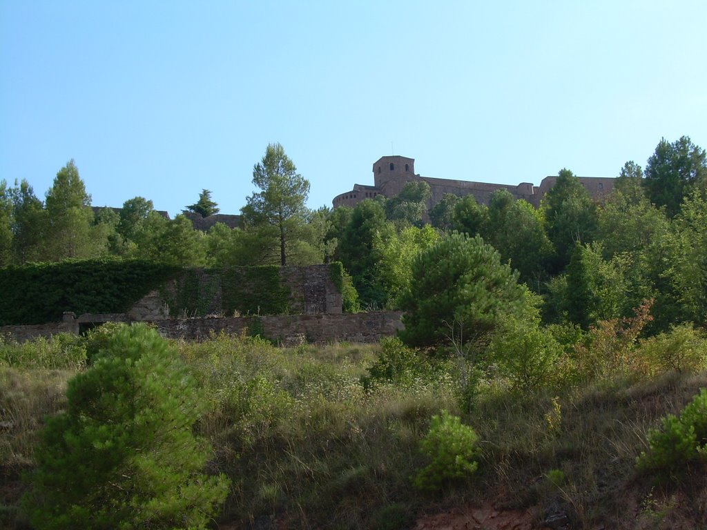 Castell de cardona by juan212