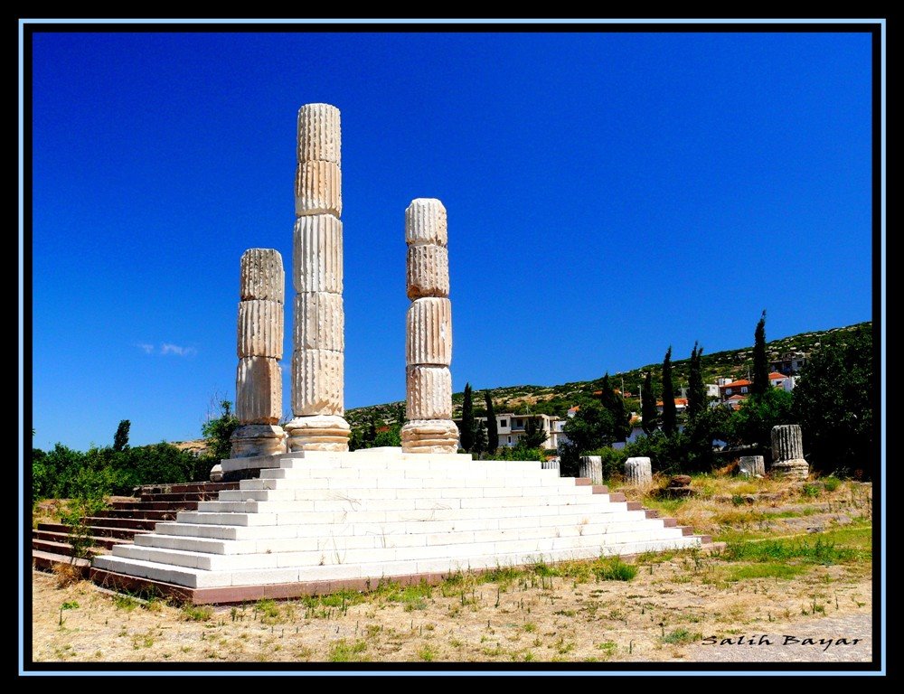 Turkey-Çanakkale-Gülpınar-Apollon-Smintheus by Salih Bayar