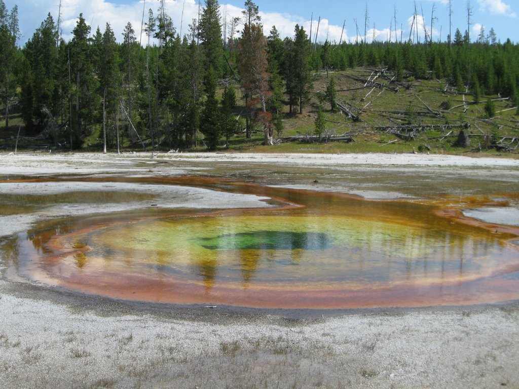 Upper Geyser Basin Chromatic Pool by Chris Sanfino