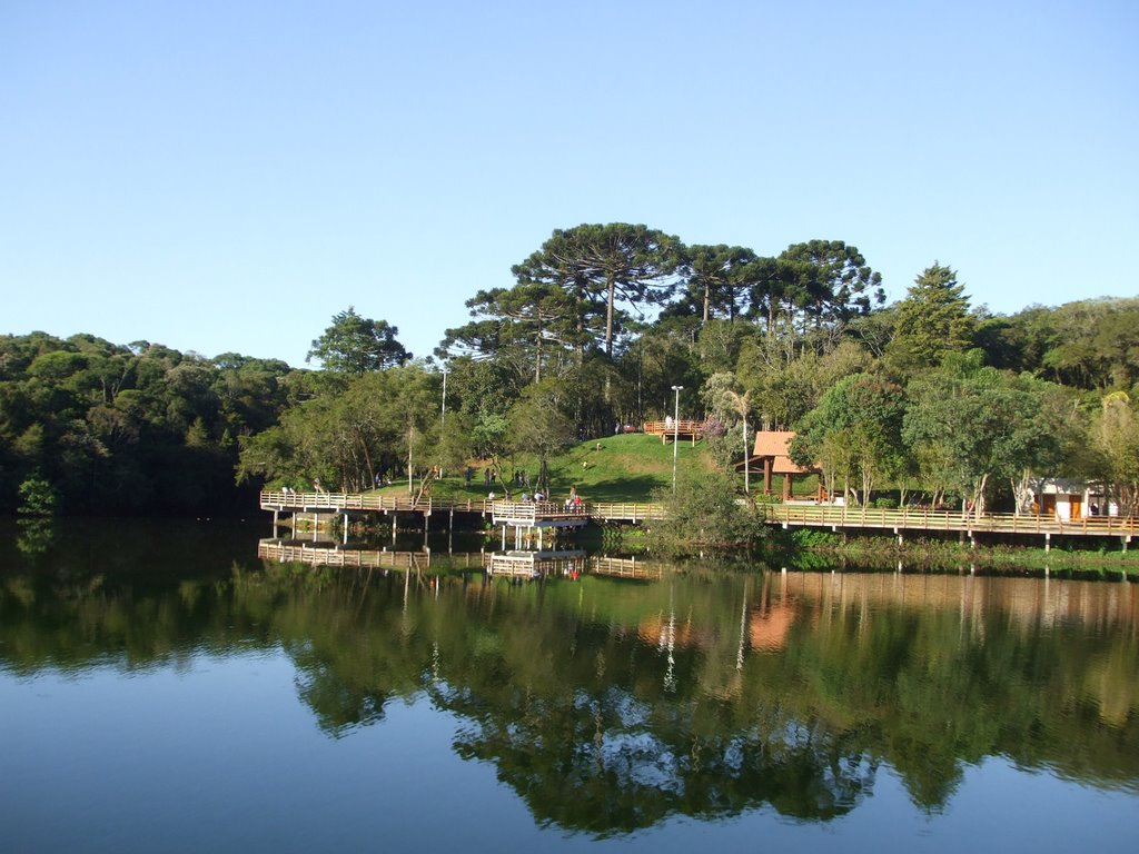 Ganchinho, Curitiba - State of Paraná, Brazil by Loir Silva