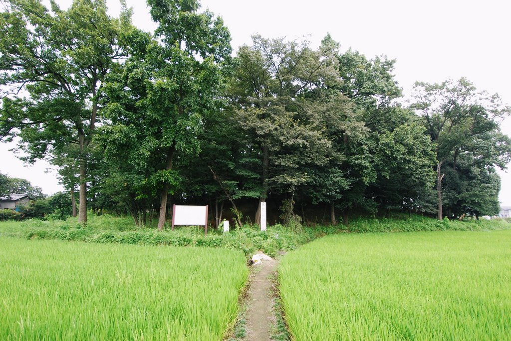 Mound tomb Nyotaisan-Kofun by tmtmamn