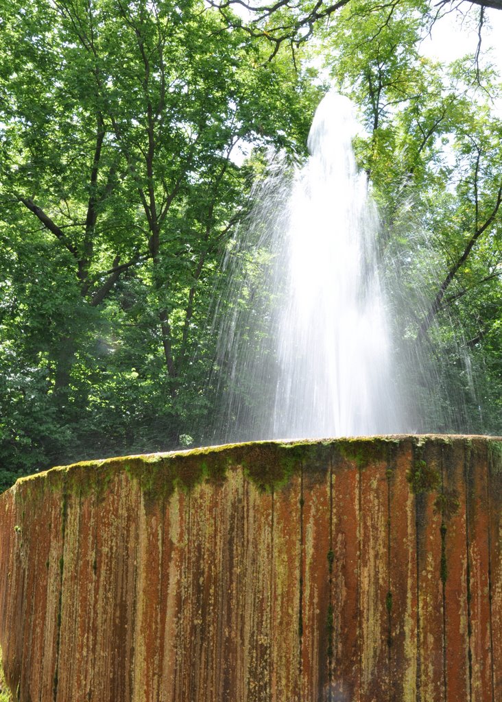 Crystal Lake Fountain, Urbana, IL by dlholt