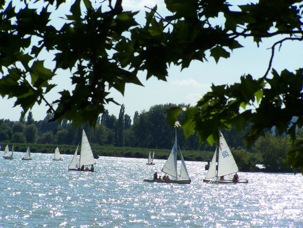 Plattensee - Alsoörs by Nic Steinhanses