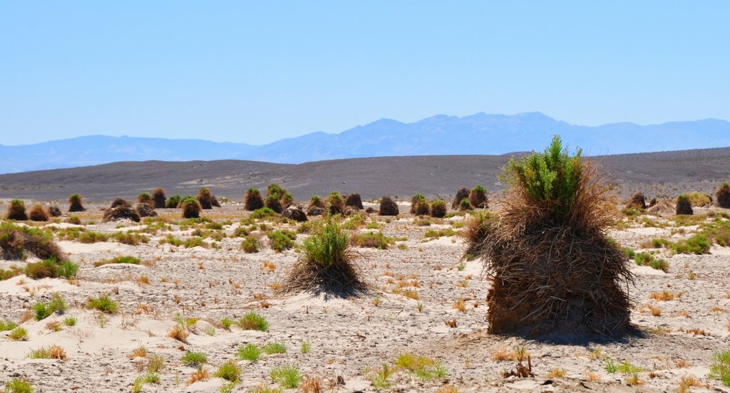 Devils Garden Death Valley by dakarzen