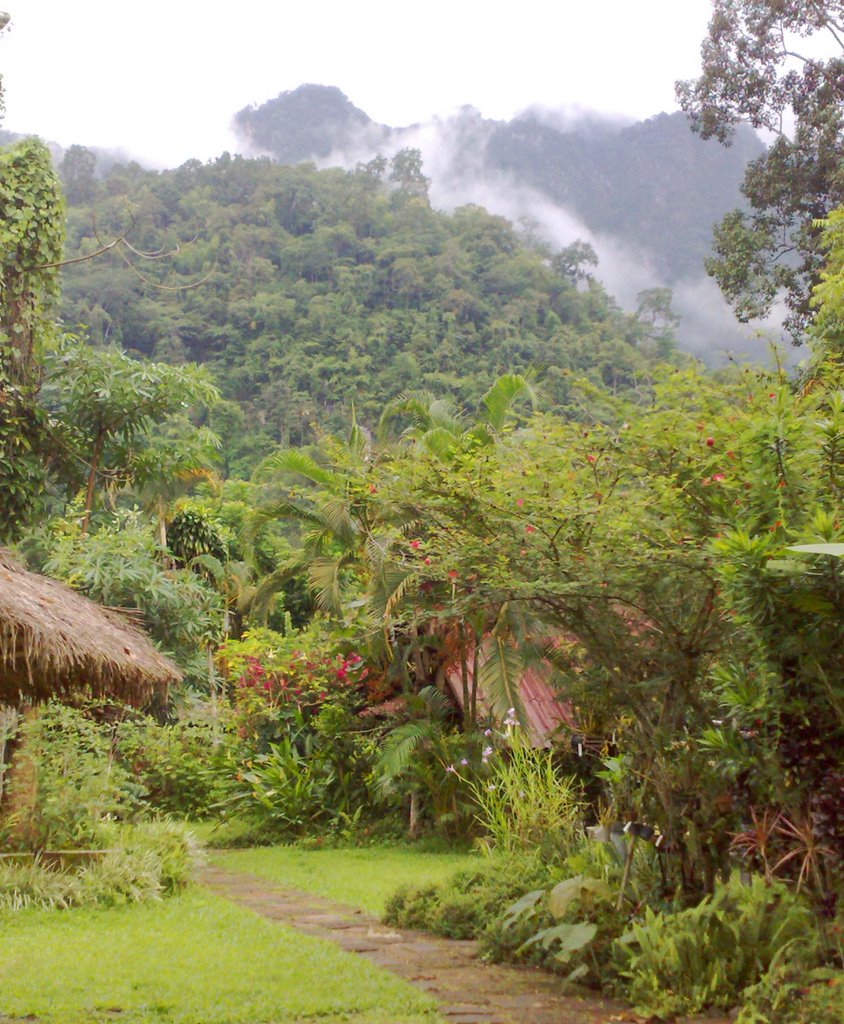 Malee's nature lover's bungalow's by itagaki