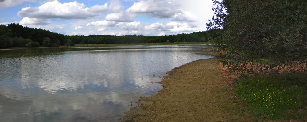 Etang du Pas-aux-ânes by Elliottt