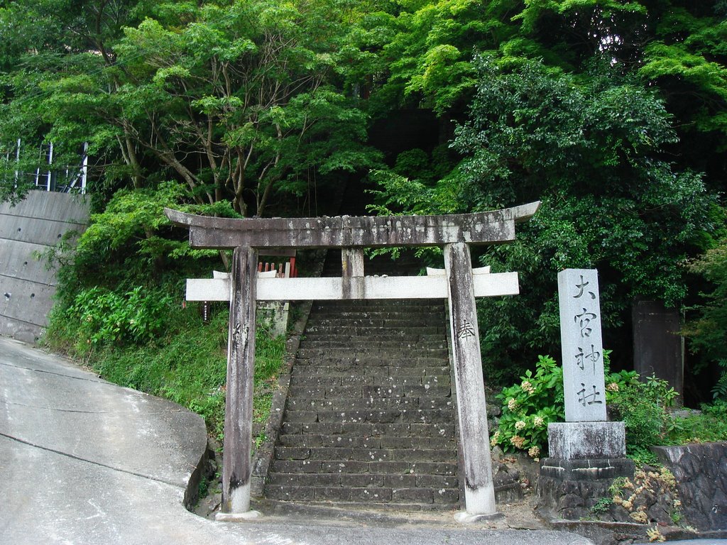 大宮神社鳥居 by aoriika