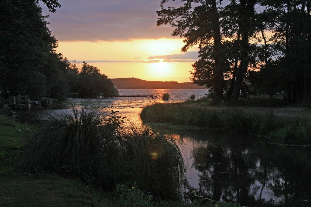 South of France Lac of Léon Landes by christian vigna