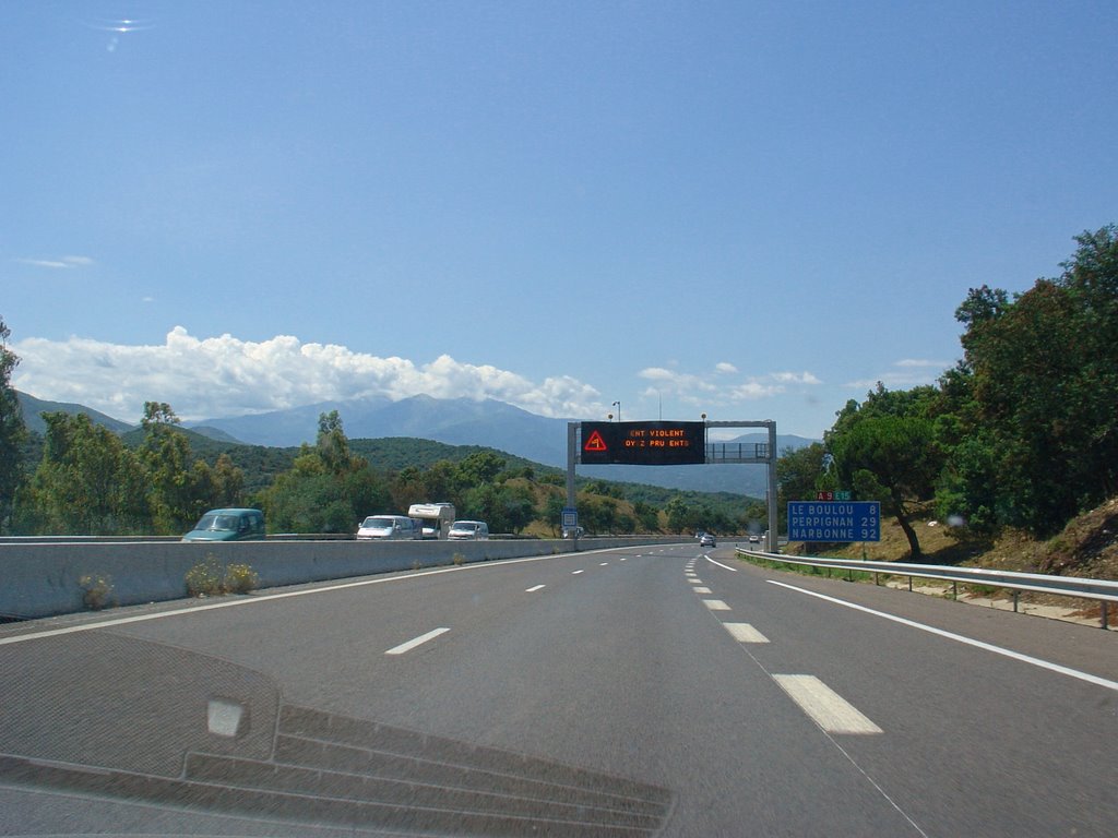 Frankreich_Languedoc-Roussillon_La Languedocienne ou la Catalane – A9 by Elmokula