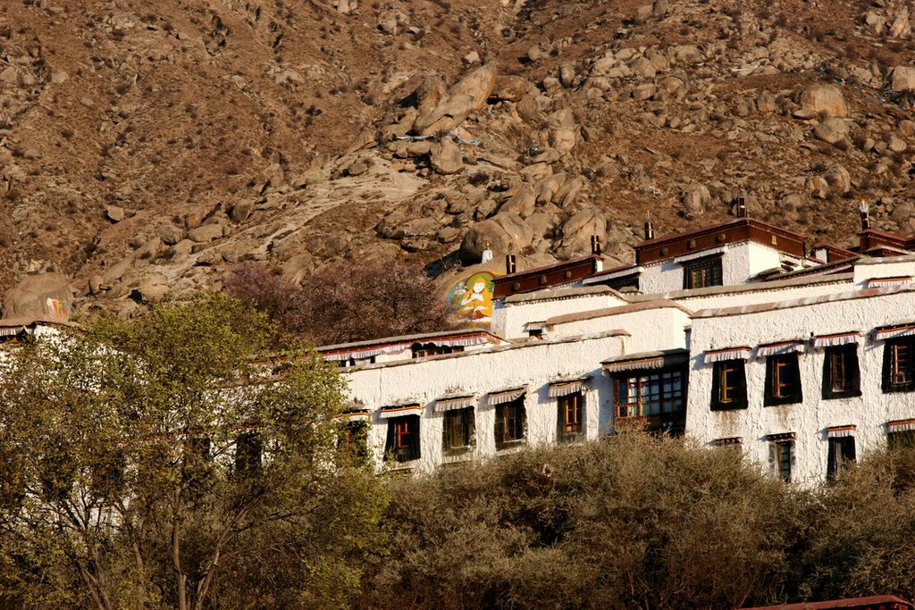 Chengguan, Lhasa, Tibet, China by zhouxin